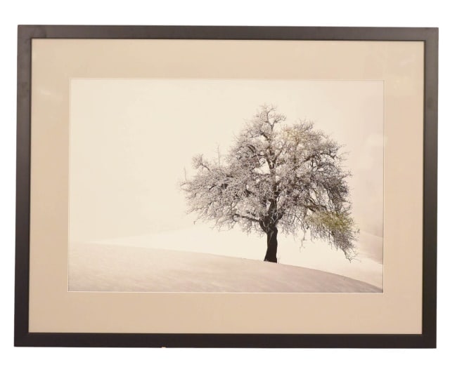 COLIN HARRISON FRAMED PHOTO LONE