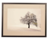 COLIN HARRISON FRAMED PHOTO LO