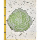 COLLAGE BOOKLET, DAVID JAMES G