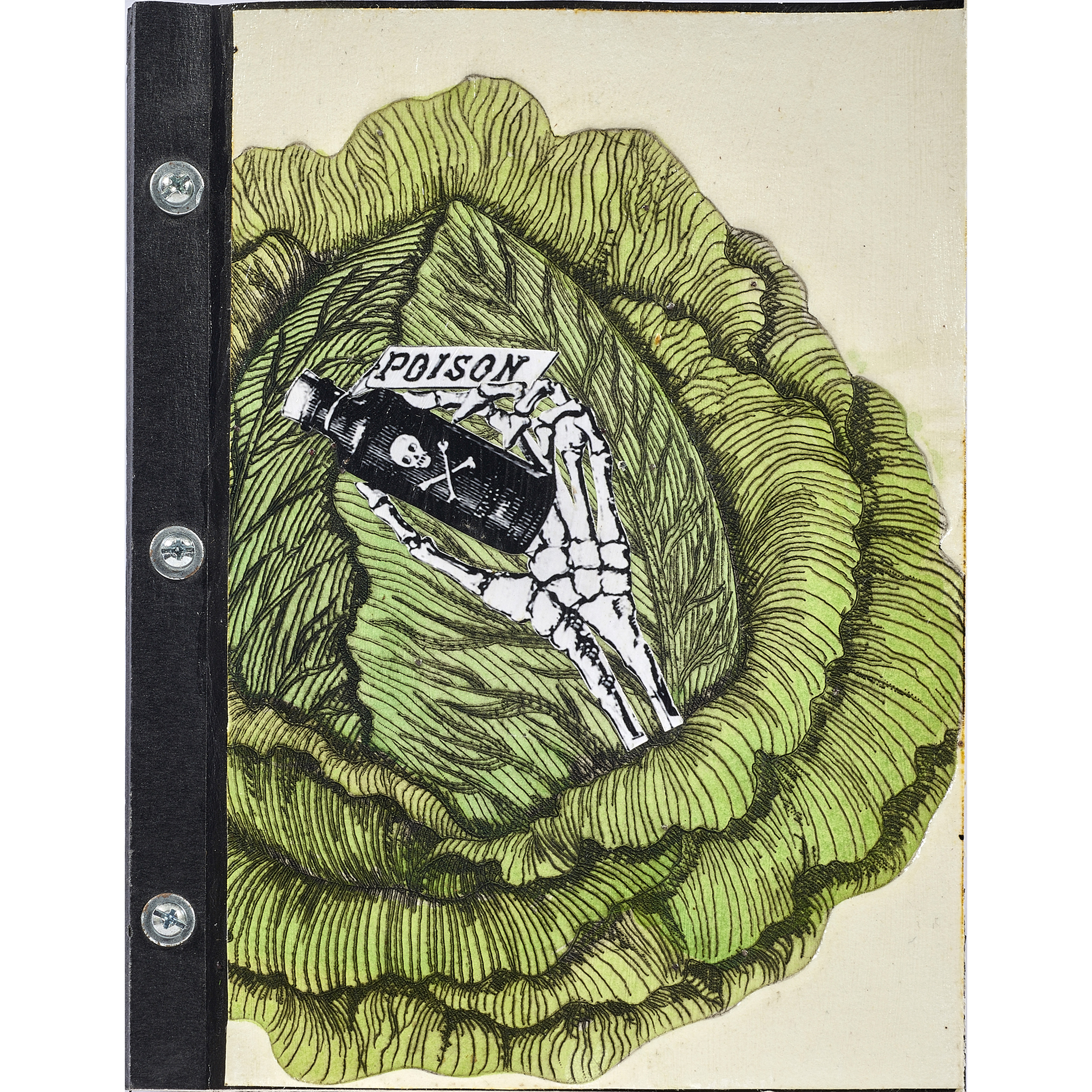 COLLAGE BOOKLET, DAVID JAMES
