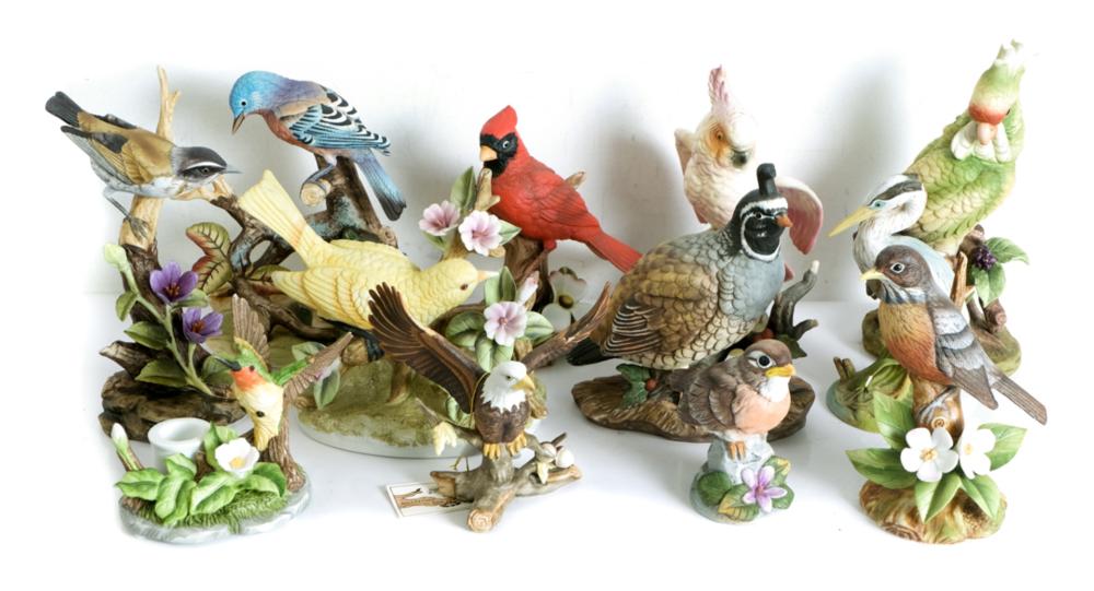 COLLECTION, 12 PORCELAIN