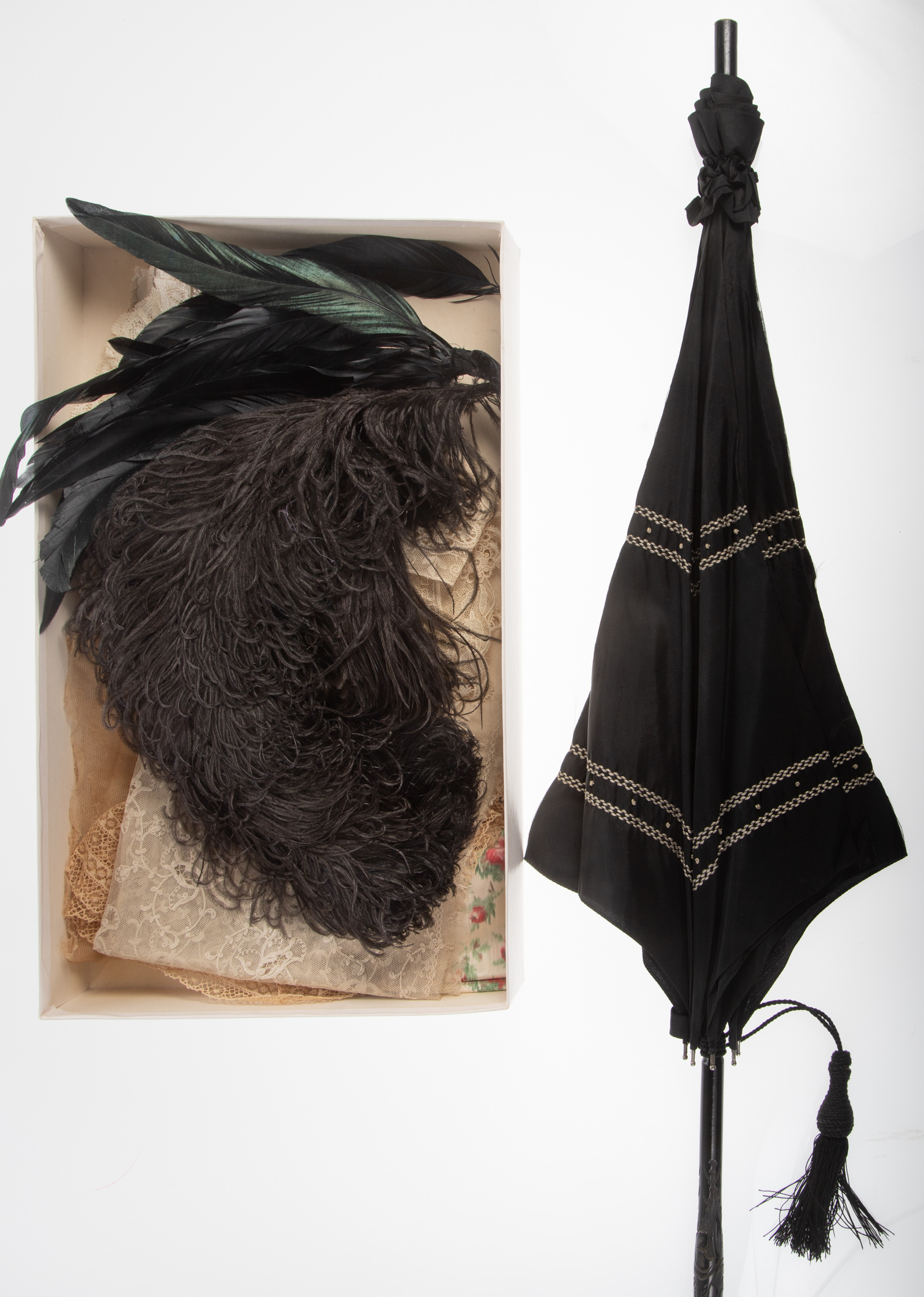 COLLECTION LACE, FEATHERS, BLACK
