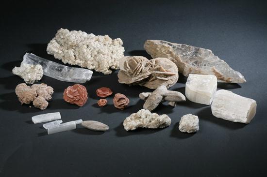 COLLECTION MINERALS. Specimens
