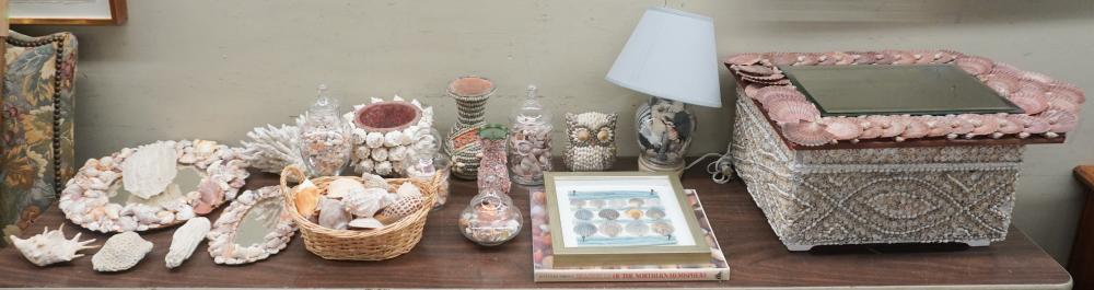 COLLECTION OF ASSORTED SEASHELLS