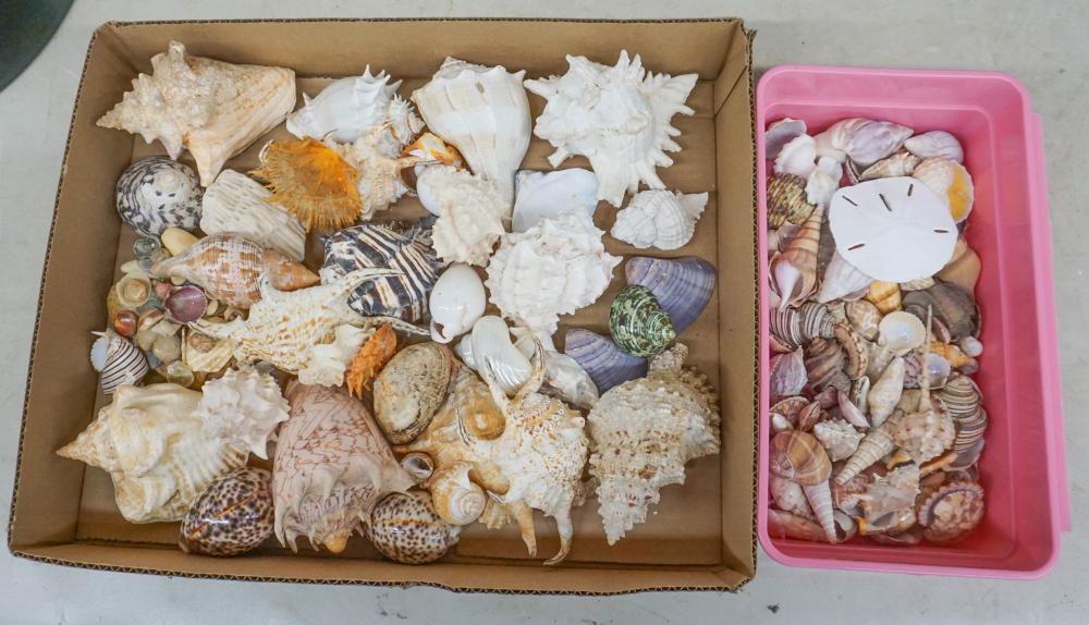 COLLECTION OF ASSORTED