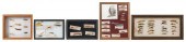 COLLECTION OF CARRIE G. STEVEN