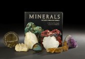 Collection of Eight Mineral Sp
