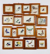 COLLECTION OF EIGHTEEN ENGLISH