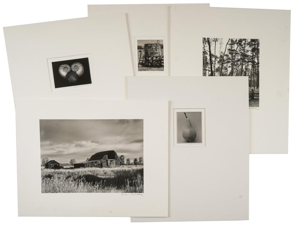 COLLECTION OF EVAN DEUTSCH