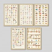 COLLECTION OF FISHING FLIESA c