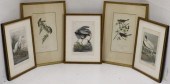 COLLECTION OF FIVE J.T. BOWEN