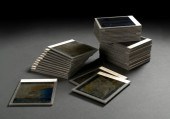 Collection of Forty-Five Photo