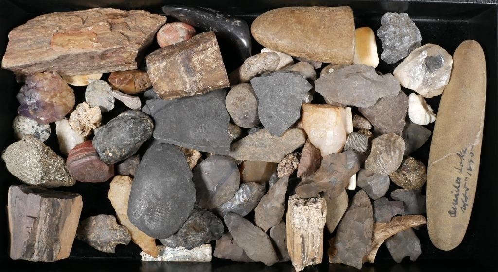 COLLECTION OF FOSSILS, ARROWHEADS &
