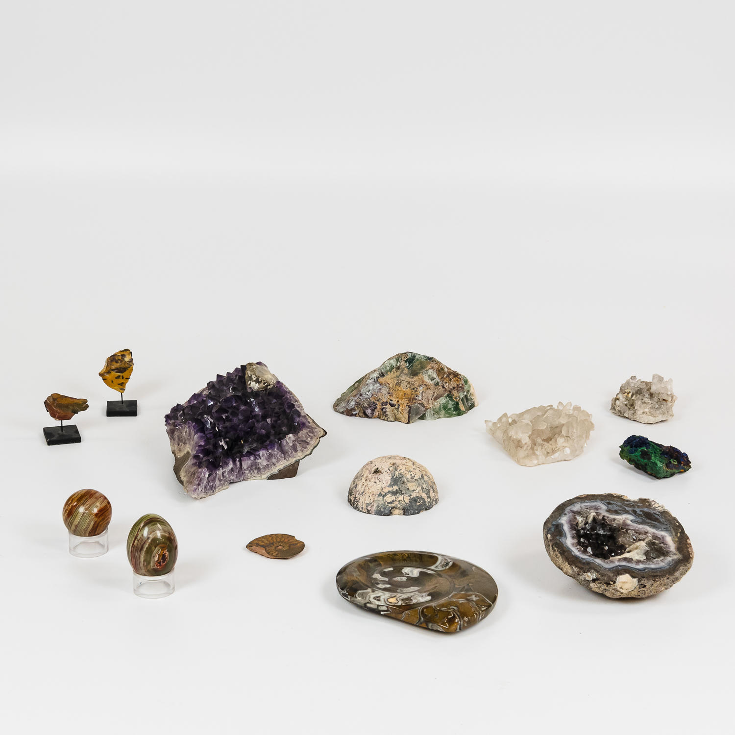 COLLECTION OF FOSSILS various