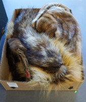 COLLECTION OF FUR STOLESCollec