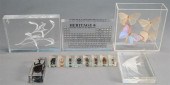 COLLECTION OF INSECT SPECIMENS