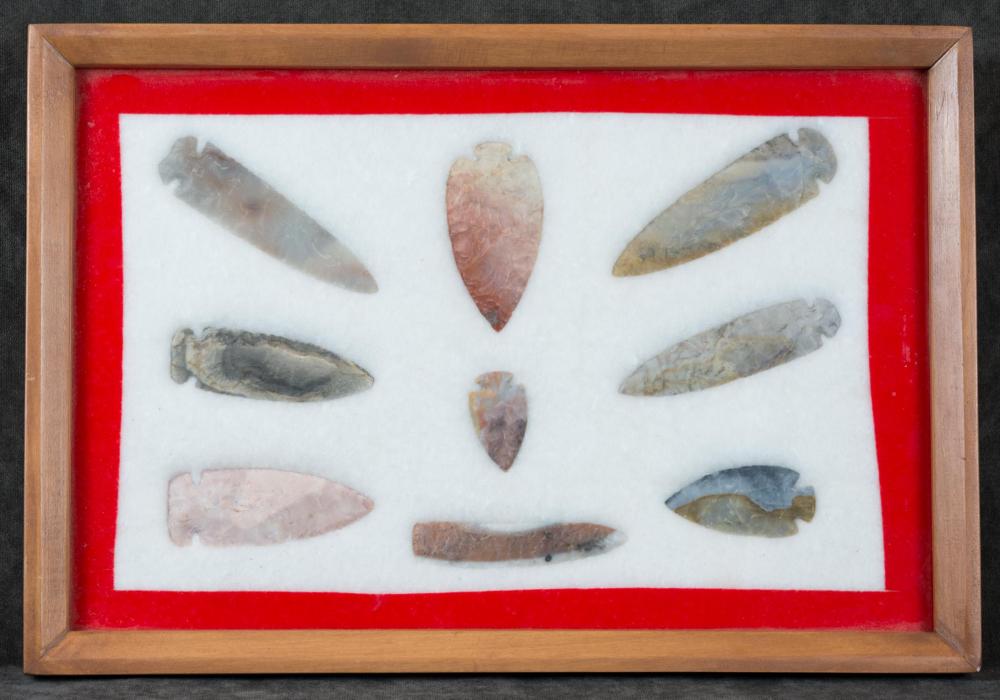 COLLECTION OF MIDWEST NATIVE