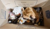 COLLECTION OF MOSTLY STEIFF ST