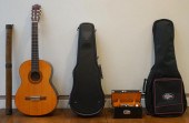 COLLECTION OF MUSICAL INSTRUME