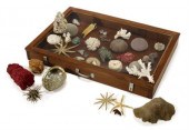 Collection of natural specimen