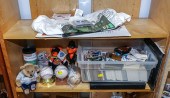 COLLECTION OF ORIOLES & OTHER