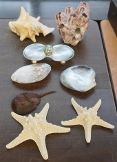 COLLECTION OF SEASHELL TABLE A