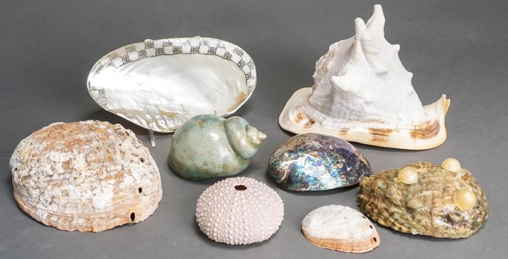 COLLECTION OF SEASHELLS AND CELADON