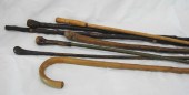 Collection of Seven Continenta