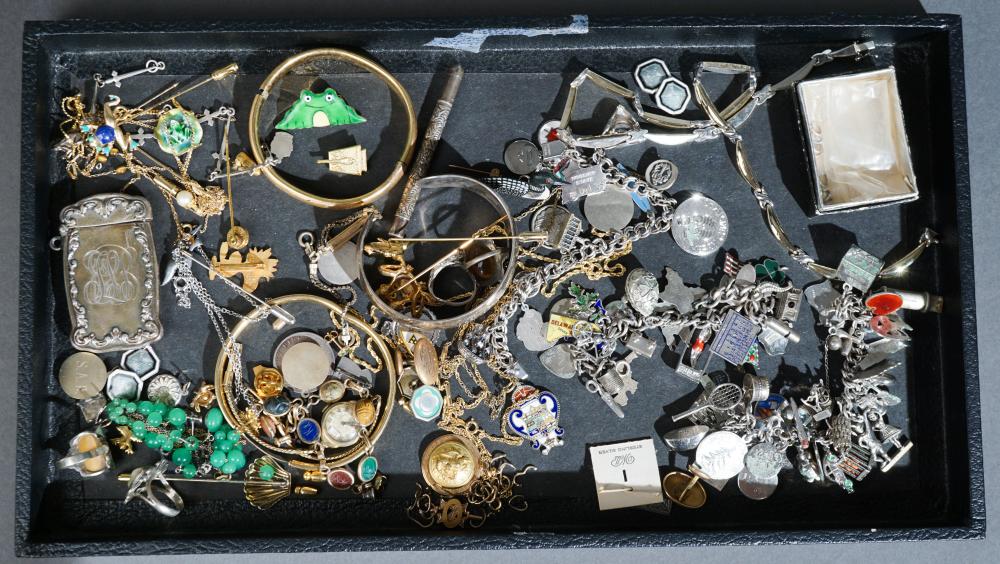 COLLECTION OF SILVER CHARM