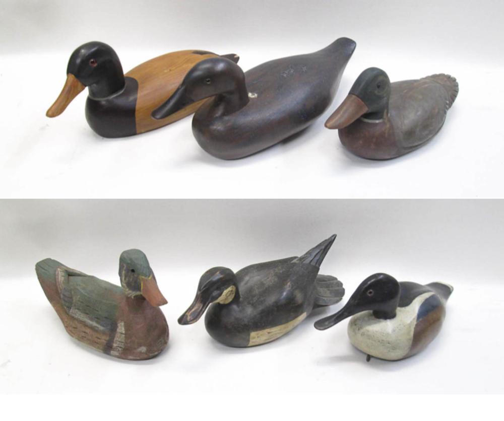 COLLECTION OF SIX DECORATIVE DUCK