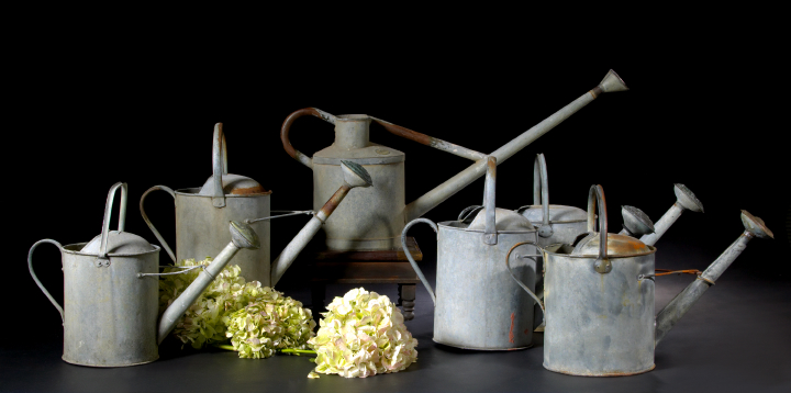 Collection of Six English
