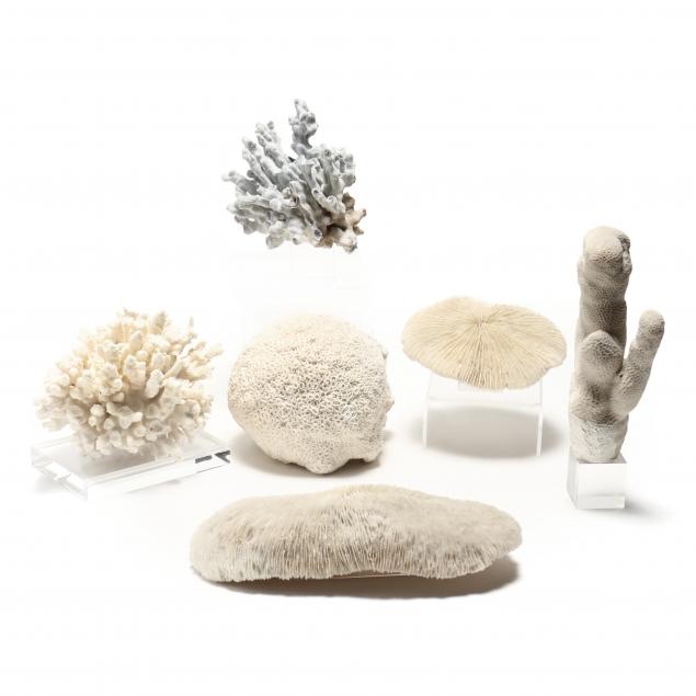 COLLECTION OF SIX PIECES OF NATURAL