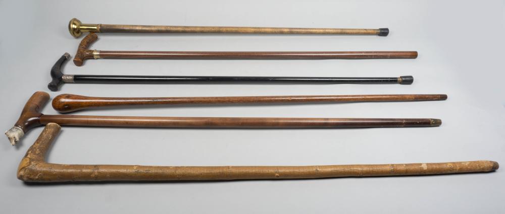 COLLECTION OF SIX WALKING STICKS