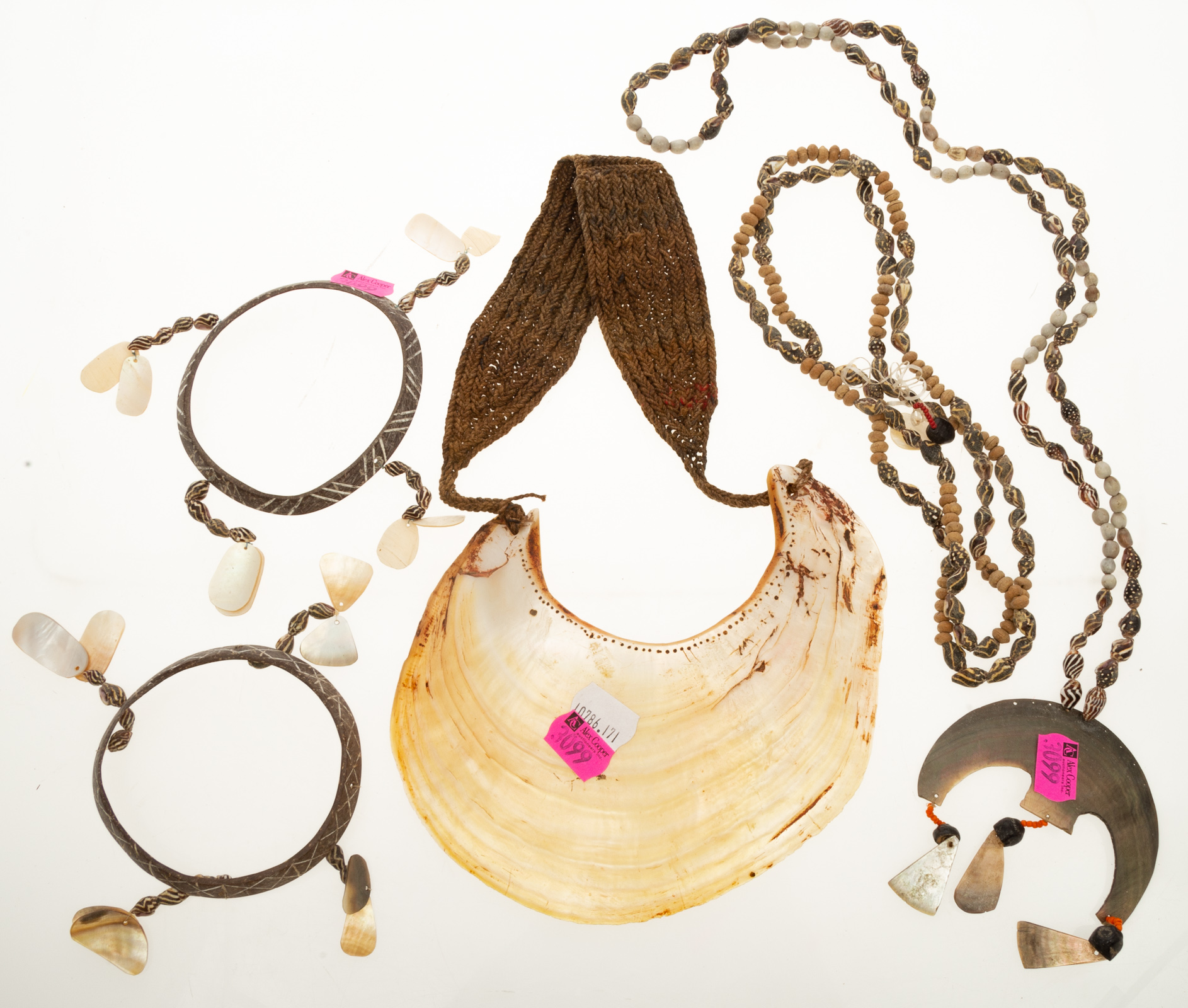 COLLECTION OF SOUTH SEA SHELLS &