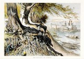 Collection of Southern landsca