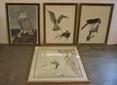 COLLECTION OF TEN ORNITHOLOGIC