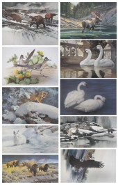 COLLECTION OF TEN WILDLIFE PRI
