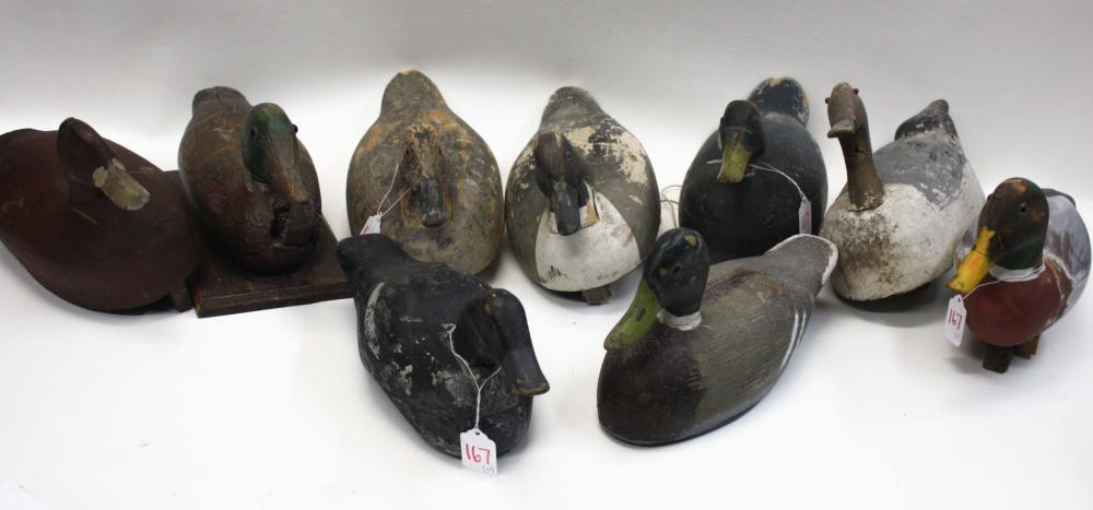 COLLECTION OF TWELVE VINTAGE DUCK