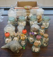 COLLECTION OF TWENTY GLASS JAR