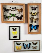COLLECTION OF VINTAGE FRAMED E