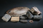 COLLECTION PETRIFIED WOOD AND