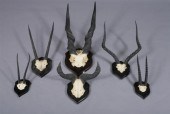 COLLECTION SIX AFRICAN FRONTAL