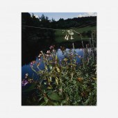 Collier Schorr b.1963. Arrange