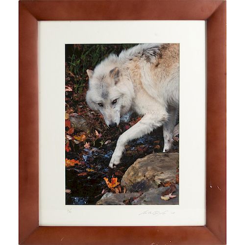 COLOR PHOTOGRAPH, WHITE