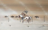 COMANCHE, DOC TATE NEVAQUAYA,