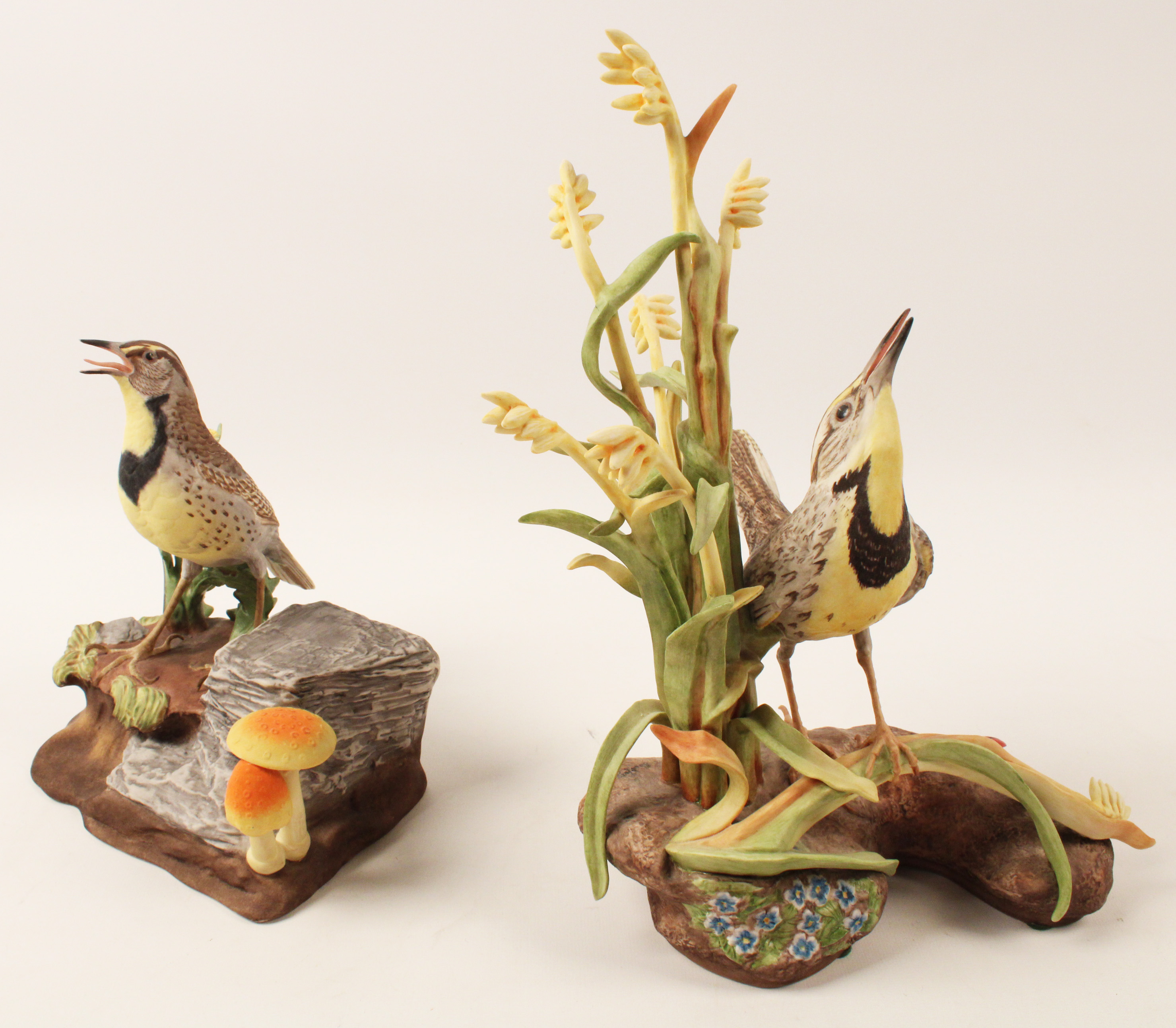 COMPANION PR OF MEADOWLARKS