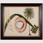 COMPANY SCHOOL: COCONUT; NUTME