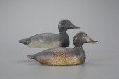 COMPETITIVE-GRADE BLUEBILL PAI