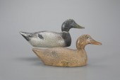 COMPETITIVE-GRADE MALLARD PAIR