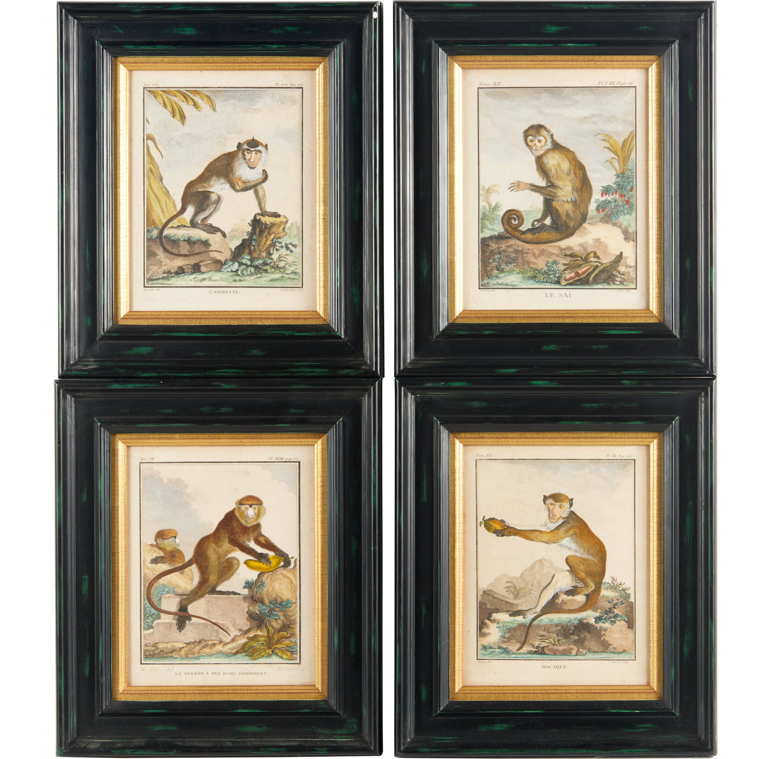 COMTE DE BUFFON, (4) HAND-COLORED